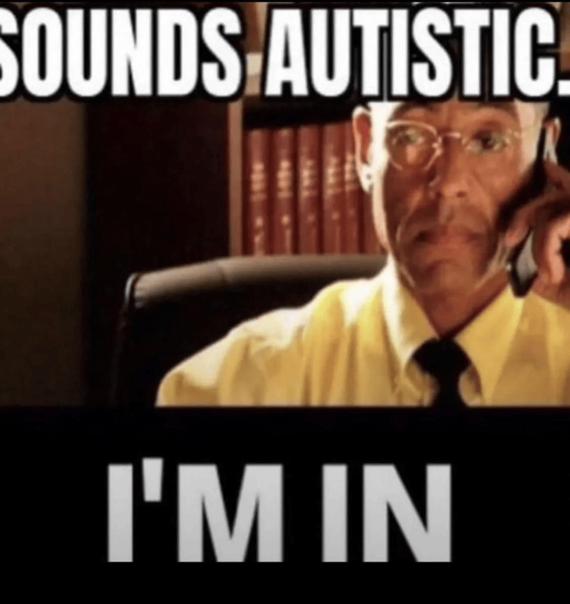 Sounds Autistic, Im in.png