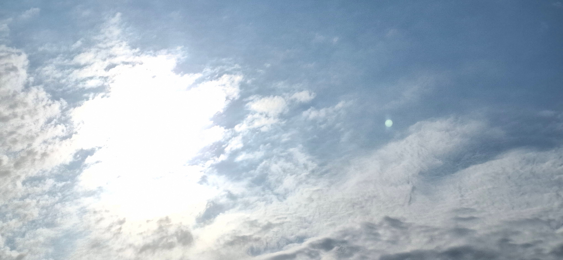 20260806_085511.jpg