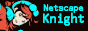 Netscape Knight